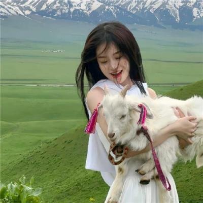 怪兽与葛林戴华德的罪行